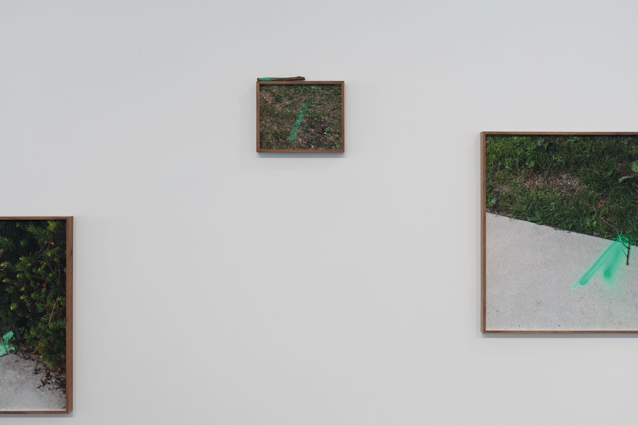 'construction season' by irene grau